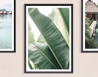 Banana Leaf Print: Tropical Green Plant Decor