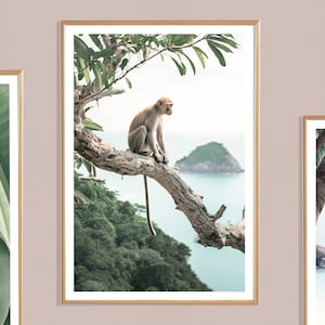 Impresión de mono (P), cartel de mono en árbol, imagen de mono, impresión animal, animal tropical, costa tropical de animales, cartel de animales, copas de los árboles