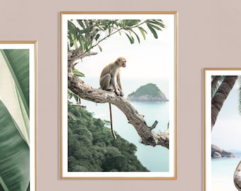 Monkey Print (P), Monkey in Tree Poster, Monkey Picture, Animal Print, Tropical Animal, Animal Tropical Coast, Animal Poster, Treetops
