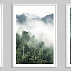 Forest Fog Print (P), Tropische Landschaft Poster, Dschungel Bild, Natur Druck, Nebel, Wolke, Dschungel Landschaft Kunstwerk, Baumkronen, Berge