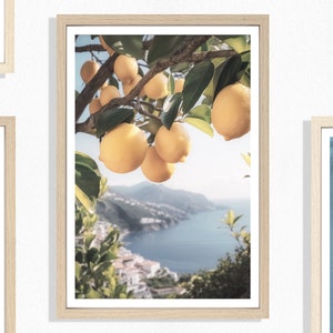 Amalfi Lemons Print (P), Hanging Lemons Poster, Amalfi Coast Print, Summer Mediterranean Coast, Sea View, Shoreline, Fruits, Summer, Yellow