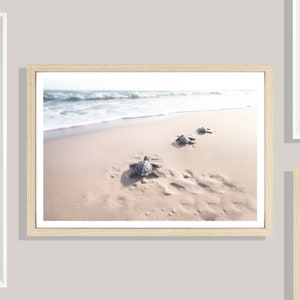 Baby Schildkröten Druck (L), Poster Schildkröte, Auf dem Weg zum Meer, Süßer Tierdruck, Natur, Strand Poster, Ruhe, Beige, Goldener Sand, Küstenlinie