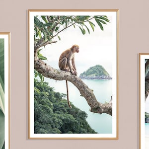 Stampa di scimmia su albero: poster costiero di animali tropicali