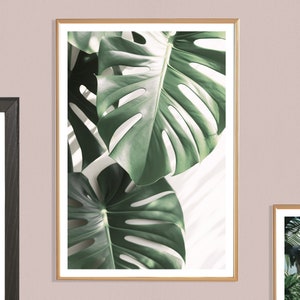 Monstera Print (P), Monstera Leaf Poster, Monstera Print, Botanical Picture, Botanical Print, Botanical Art, Floral, Tropical Leaves Poster