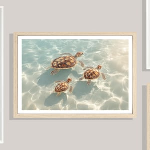 Puede incluir: Una impresión enmarcada que muestra tres tortugas marinas nadando en agua clara y soleada. Las tortugas tienen caparazones marrones y tostados, y el agua tiene un tono azul claro. La obra de arte está en un marco de madera clara.