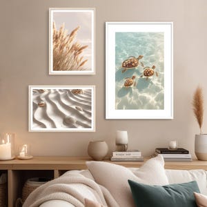 May include: Three framed art prints featuring nature scenes. One print shows pampas grass against a soft sky. Another depicts three sea turtles swimming in clear water. The third print displays seashells on rippled sand.