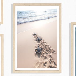 Plakat z żółwiami (P), Plakat z żółwiem plażowym, W stronę oceanu, Uroczy nadruk ze zwierzętami, Natura, Plakat na plażę, Spokój, Beżowy, Złoty piasek, Linia brzegowa