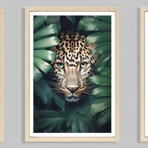 Estampado de leopardo (P), Imagen de leopardo, Póster de animales de la selva, Gato salvaje, Tigre, León, Estampado animal, Hojas tropicales, Interior de la selva, Gato de la selva