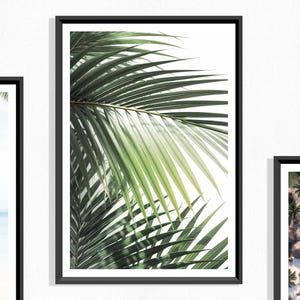 Palm Leaf Print: Tropical Greenery Botanical Art