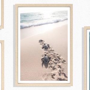 Baby-Schildkröten-Druck (P), Strandschildkröten-Poster, Richtung Ozean, niedlicher Tierdruck, Natur, Strandposter, Ruhe, Beige, goldener Sand, Küstenlinie