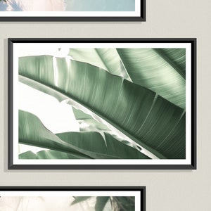 Stampa di foglie di banana: arte botanica con foglie verdi tropicali