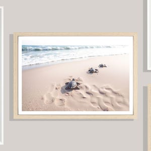Baby Turtles Print (L), Beach Turtle Poster, Towards The Ocean, Cute Animal Print, Nature, Beach Poster, Calm, Beige, Golden Sand, Shoreline image 1