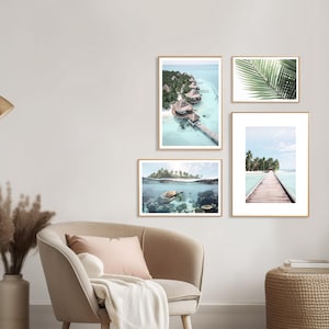 Turtle Print (L), Turtle Poster, Underwater Turtle Picture, Sealife Underwater, Animal Pictures, Tropical Style, Sealife Print, Coral Reef image 3