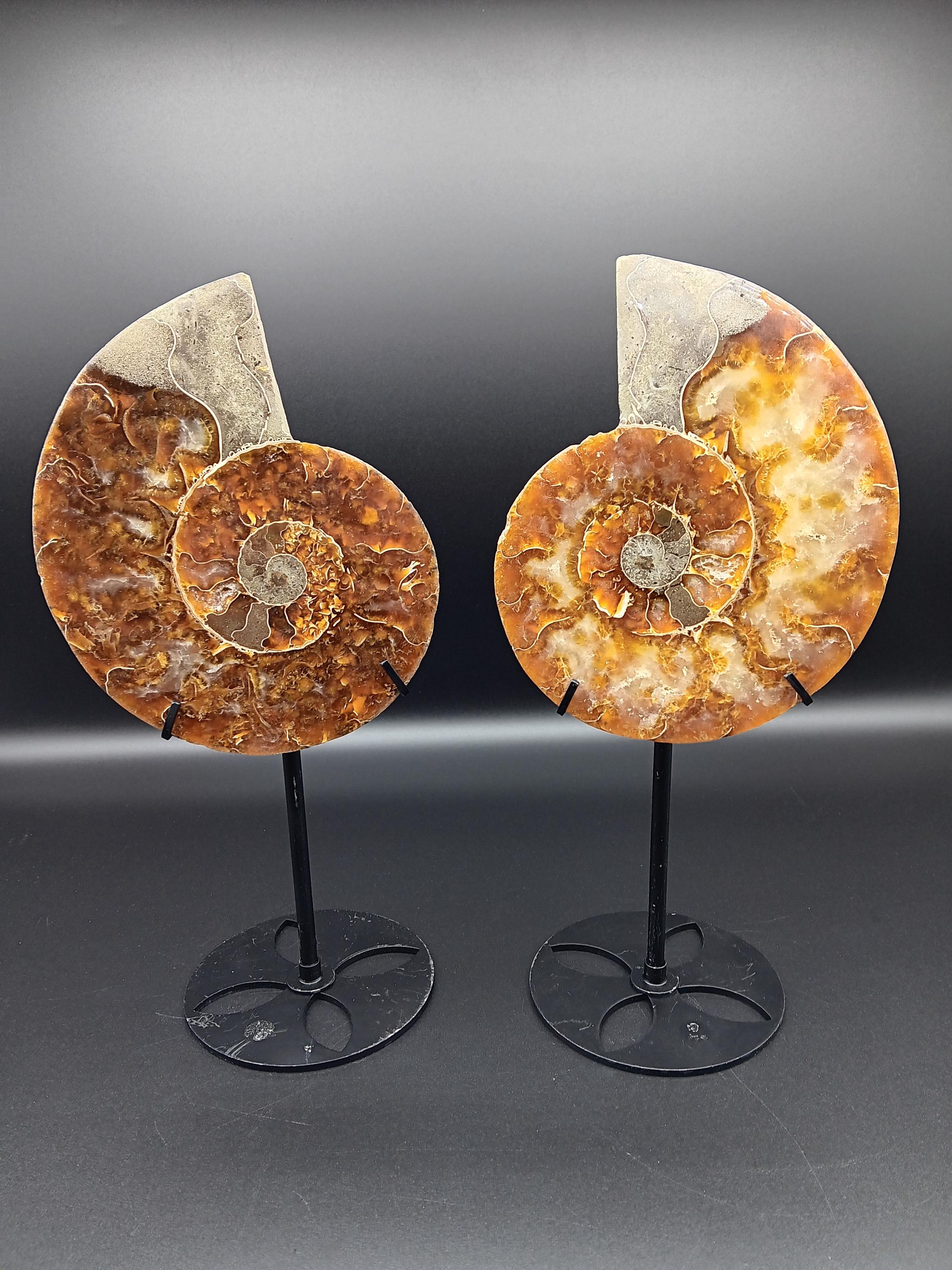 Display Stand For Crystals,Rock Display Stand Brass | Display Stand With Wooden Base For Fossils, Geode, Agate, Strange Stones Holder