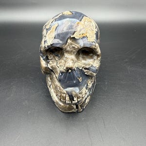 May include: A carved skull sculpture with a polished finish. The skull features a mix of dark blue, tan, and cream colors, with visible patterns and textures. The sculpture is a decorative item.