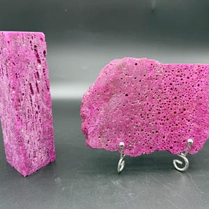 May include: Two pieces of vibrant magenta-coloured coral. One is a rectangular block, the other is a flat, porous piece supported by a silver stand. The coral has a textured surface with numerous small holes, creating a unique visual appeal.