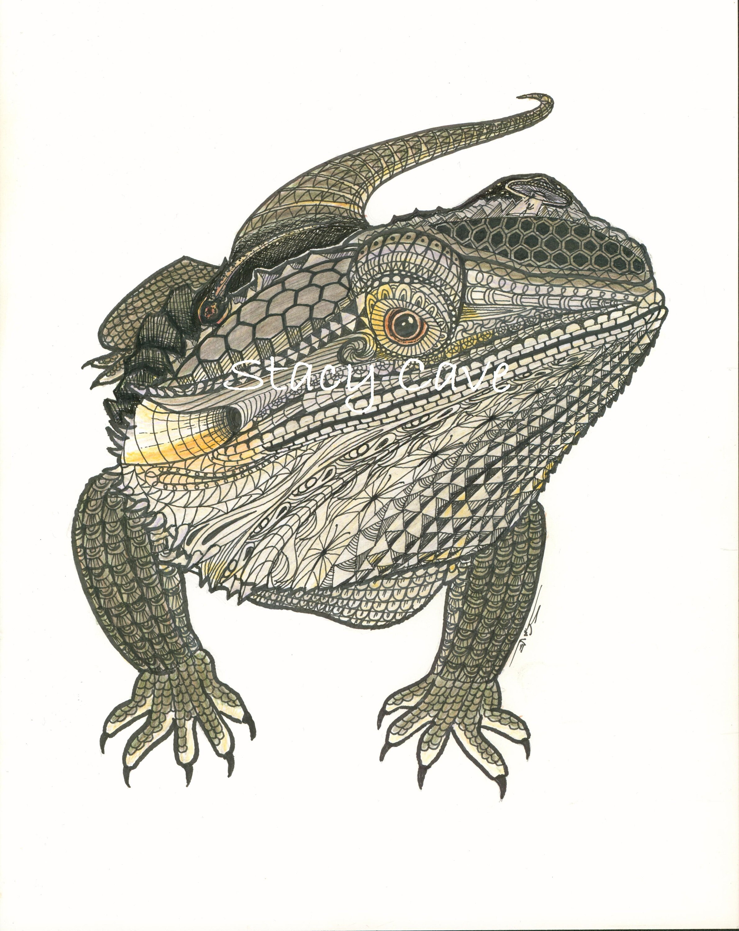 bearded dragon cuddle cave