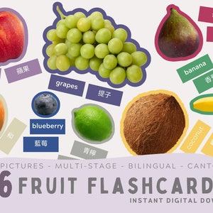 36 Fruit Flashcards in Cantonese with Real Pictures. Traditional Chinese. Montessori. Educational Activity. PDF, PNG. Instant Download.