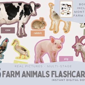 15 Tarjetas didácticas y póster de animales de granja con imágenes reales. montessori. Actividad educativa de varias etapas. PDF, PNG. Descarga instantánea.