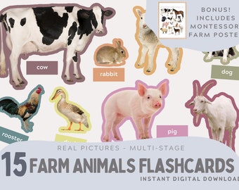 15 Tarjetas didácticas y póster de animales de granja con imágenes reales. montessori. Actividad educativa de varias etapas. PDF, PNG. Descarga instantánea.