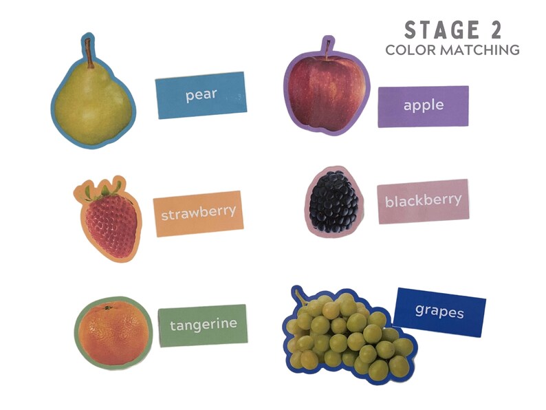 May include: A set of colorful flashcards with pictures of different fruits and their names. The fruits include a pear, apple, strawberry, blackberry, tangerine, and grapes. The flashcards are labeled with the names of the fruits in white text on a colored background. The text "STAGE 2 COLOR MATCHING" is at the top of the image.