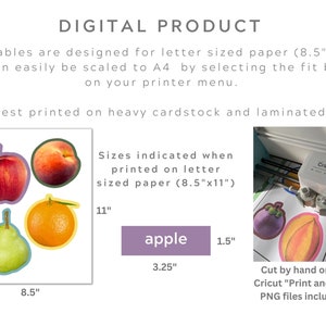 May include: Printable digital stickers of an apple, peach, orange, and pear. The stickers are designed for letter-sized paper (8.5 inches by 11 inches) and can be scaled to A4 size. The image shows the stickers printed on cardstock and cut out using a Cricut machine. The text "Sizes indicated when printed on letter sized paper (8.5"x11")" and "Cut by hand or use Cricut "Print and Cut" PNG files included!" is also included in the image.