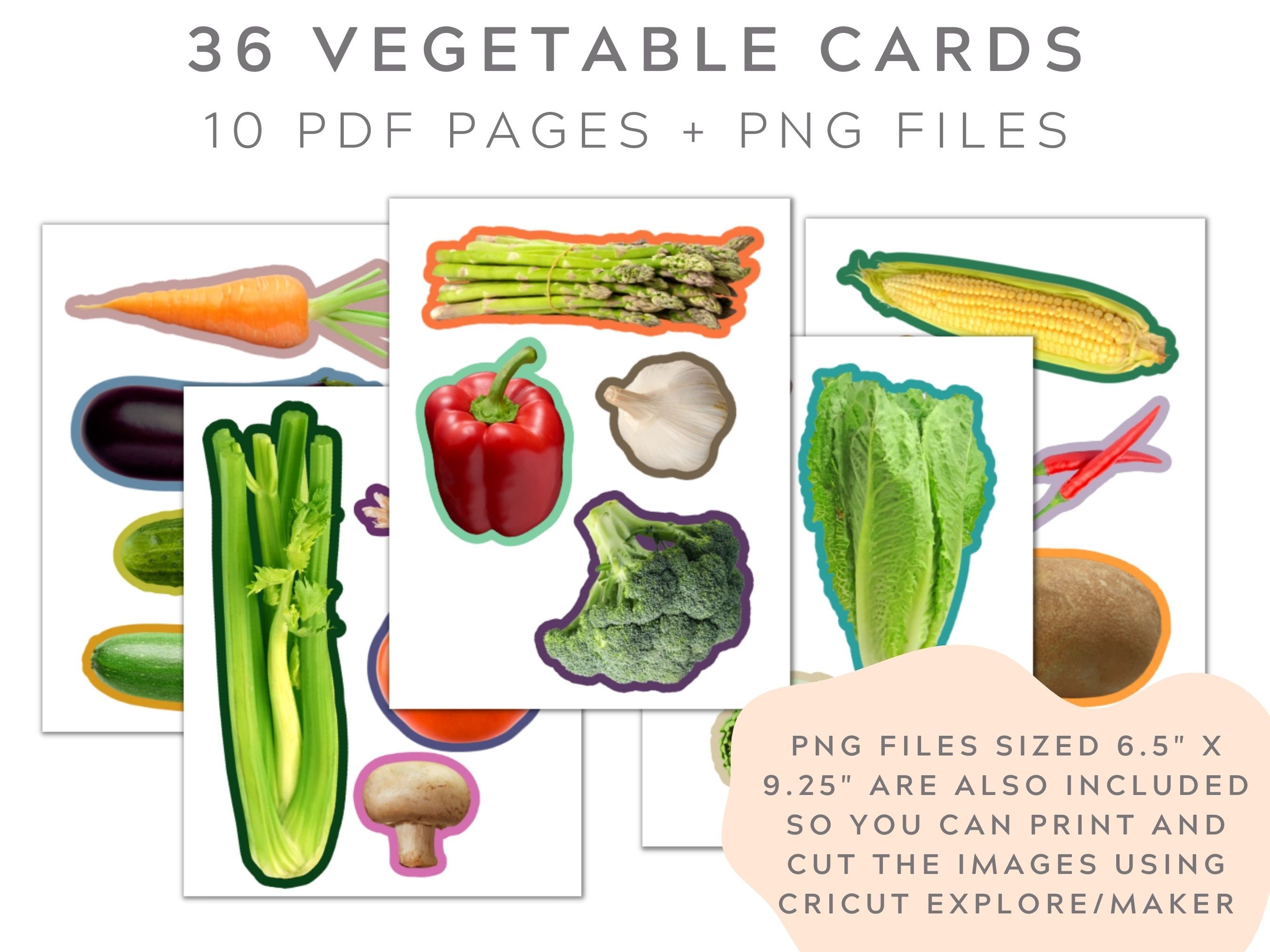 36 Vegetable Flashcards in Cantonese With Real Pictures. Traditional ...