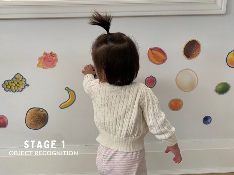 May include: A young child is standing in front of a white wall with colorful fruit stickers on it. The text "STAGE 1 OBJECT RECOGNITION" is printed below the stickers.