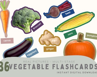36 Vegetable Flashcards. Real Pictures. Montessori Flashcards. Educational Multi-stage Activity. Color Matching. PDF, PNG. Instant Download.