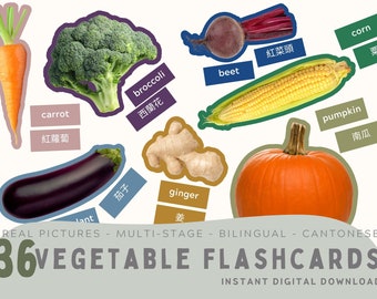 36 Vegetable Flashcards in Cantonese with Real Pictures. Traditional Chinese. Montessori. Educational Activity. PDF, PNG. Instant Download.