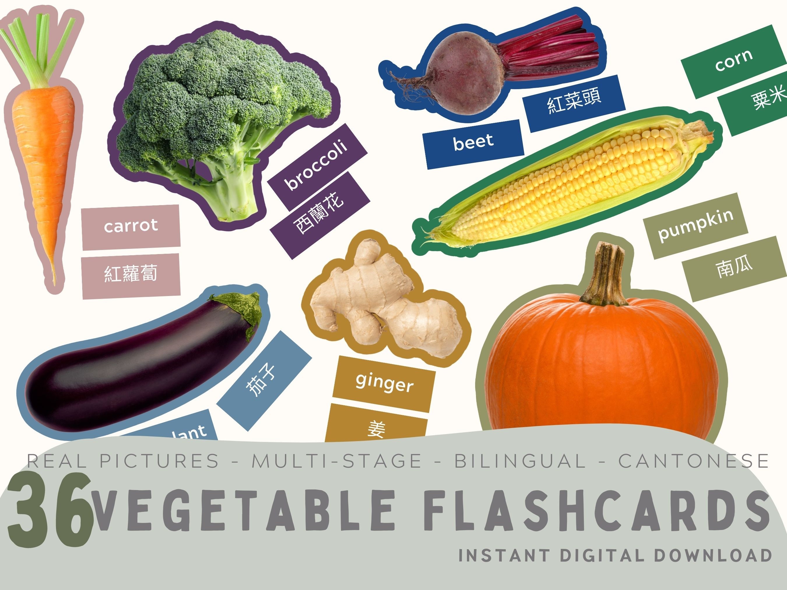 36 Vegetable Flashcards in Cantonese With Real Pictures. Traditional ...
