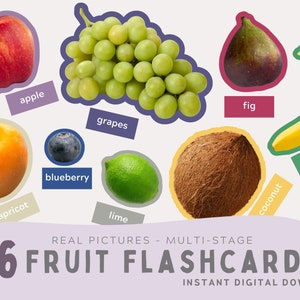 36 Tarjetas didácticas de frutas con imágenes reales. Tarjetas didácticas Montessori. Actividad educativa de varias etapas. Coincidencia de colores. PDF, PNG. Descarga instantánea.