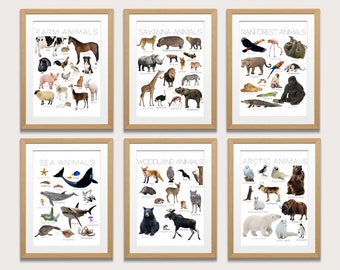 Montessori Animal Poster Bundle. Real Pictures. Farm Animals & More. Homeschool, Classroom, Playroom Educational Wall Art. Instant Download.