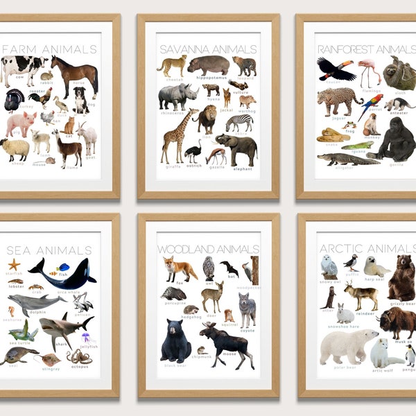 Montessori Animal Poster Bundle. Real Pictures. Farm Animals & More. Homeschool, Classroom, Playroom Educational Wall Art. Instant Download.