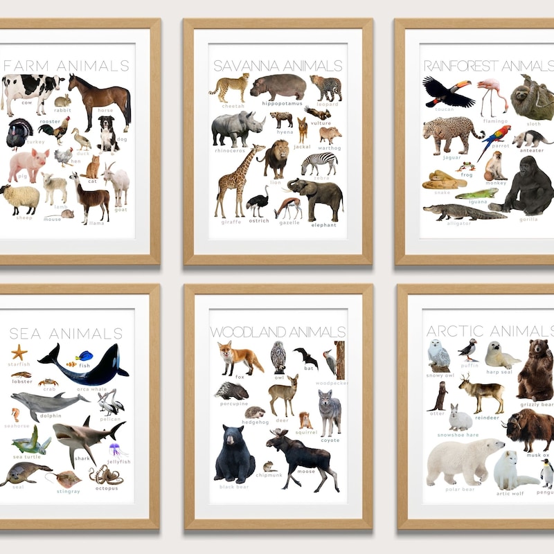 Animal Poster - Etsy