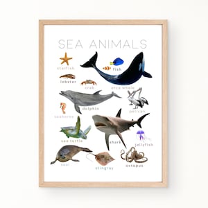 Montessori Sea Animals Poster with Real Pictures. Homeschool, Classroom, Playroom Educational Wall Art Decor. Instant Download.