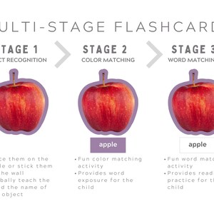Multistage fruit flashcards for toddlers, preschoolers and kindergarten.