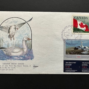 1989 Canada Duck Conservation Cover 1st Day of Issue Greater Snow Goose
