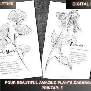 MEDIA CARTA / Hermosos paneles de plantas increíbles / Inserciones imprimibles / Plantas increíbles / Paneles de planificación / Descarga digital