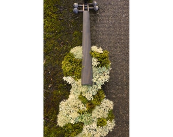 Pacific Northwest Moss Violin Canvas Poster, Violin Wall Art, Violin Art Print