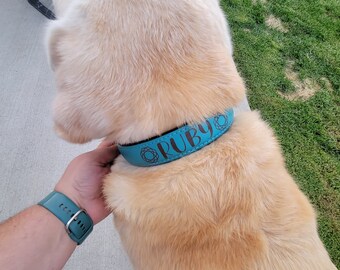 May include: A light blue dog collar with the name "RUBY" engraved in black lettering. The collar has a decorative circle design.