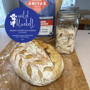 Buy Organic Sourdough Starter Online in Canada, Dehydrated Sourdough Starter, Sourdough Bread Culture, 73 Year Old Italian w/ Video Guide image 2