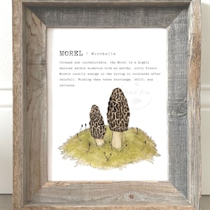 Morel Mushroom Art Print, Downloadable Digital Art Print, Mushroom Art, Morel Definition, Mushroom Forager Gift, Nature Art Print, Moss Art