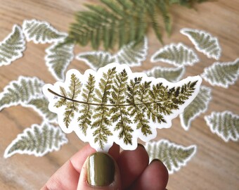 Watercolor Fern Sticker, Weatherproof Vinyl Decal