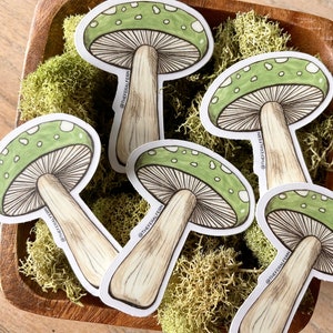 May include: Five green and white mushroom stickers with brown stems. The stickers are on a bed of green moss in a wooden bowl. The stickers have the text "@thefloralfern" on them.