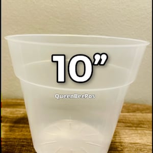 May include: A clear plastic 10 inch diameter pot with drainage holes. The pot is sitting on a wooden surface. The text "10" and "QueenBeePos" are printed on the pot.