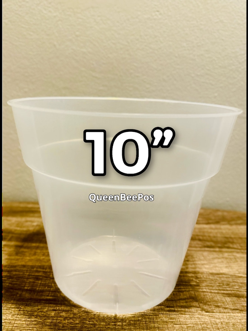 10” Round Pot Frosted Clear Transparent Plastic XL 25 Cm for Indoor ...