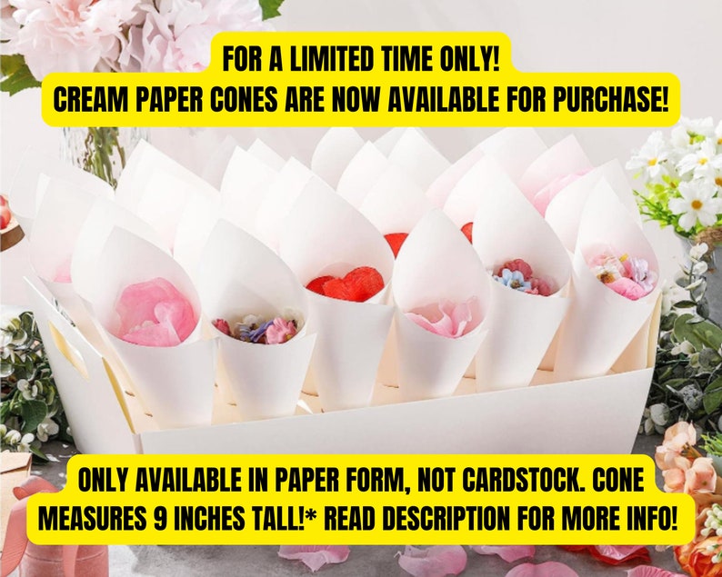 Petals Cone Holder Wedding Petal Cones Confetti Cone Holder Flower Confetti Cones Petal Cups Flower Cones Wedding Decor image 10