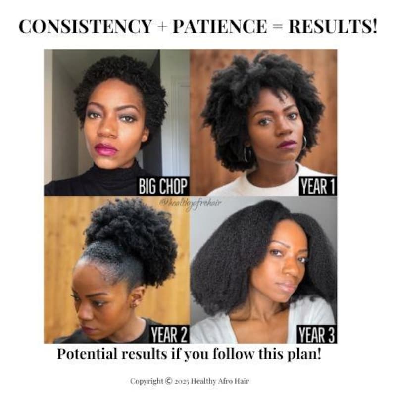 Lista de verificação e planejamento de cuidados com cabelos naturais para mulheres negras (PDF digital) imagem 1