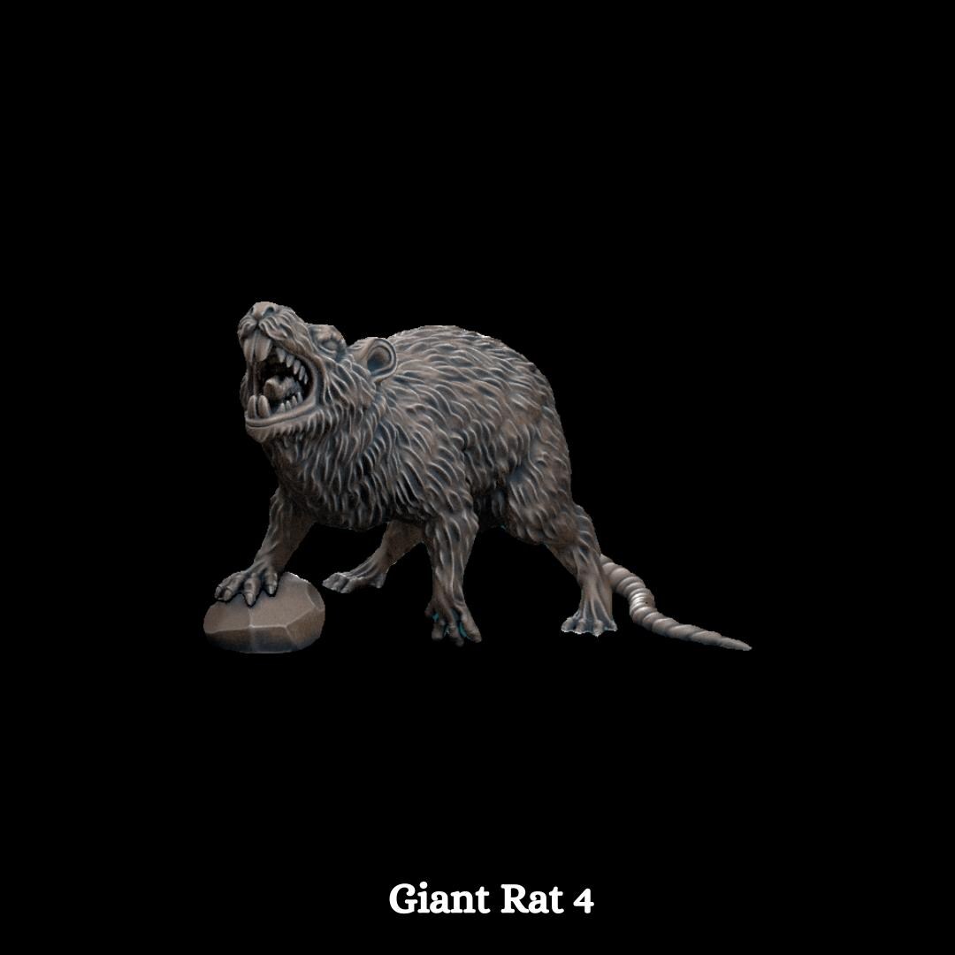 Giant Rats - Set of 8 Figures - 28mm/32mm Scale Unpainted Resin ...